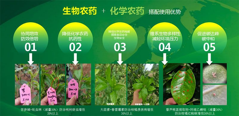 新朝陽在第六屆中國(guó)農(nóng)藥行業(yè)市場(chǎng)和銷售高峰論壇做“生物農(nóng)藥+化學(xué)農(nóng)藥，引領(lǐng)植保市場(chǎng)未來”主題報(bào)告