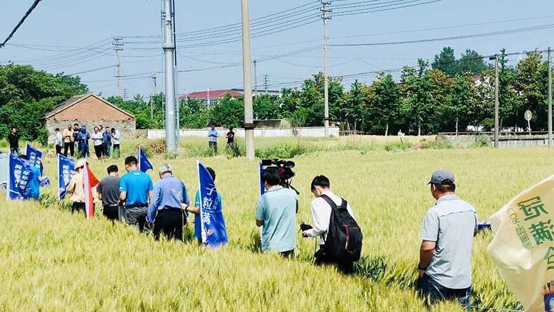520健康植保日——擁抱綠色農(nóng)業(yè)，我們在行動