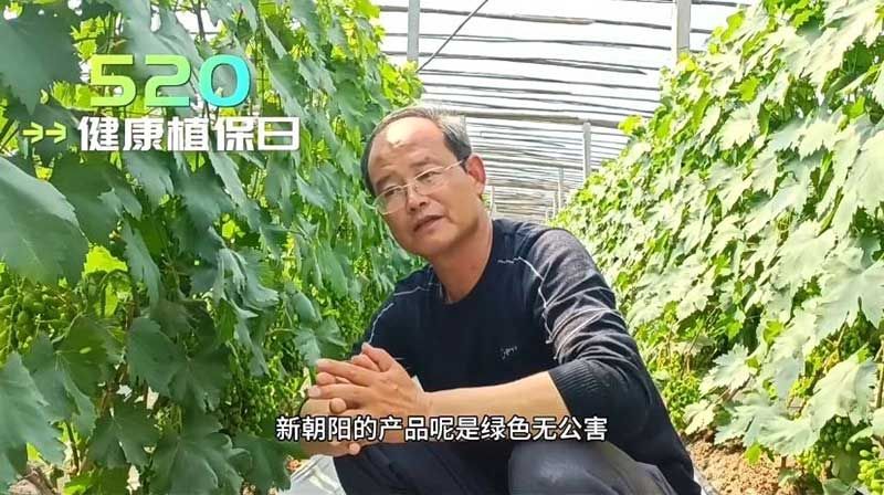 520健康植保日——擁抱綠色農(nóng)業(yè)，我們在行動