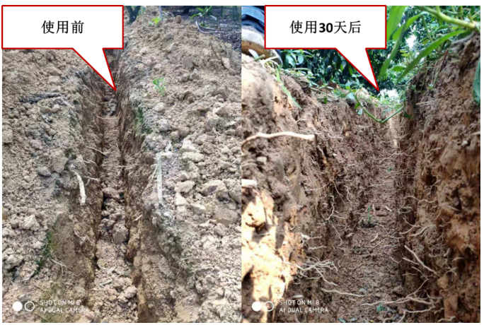 “土壤板結(jié)克星”：土壤調(diào)理劑你了解多少？