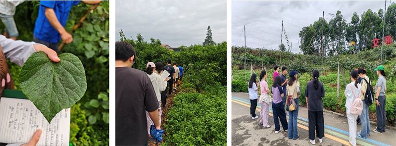 首個(gè)！中國(guó)農(nóng)業(yè)大學(xué)攜手新朝陽(yáng)啟動(dòng)“朝陽(yáng)稼穡計(jì)劃”